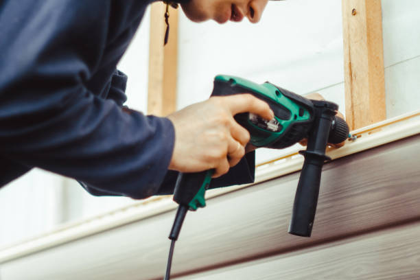 Best Vinyl Siding Installation  in La Palma, CA